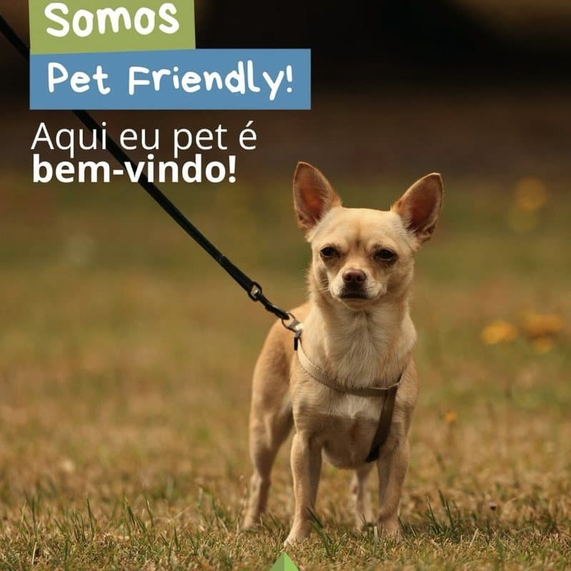 Post do Instagram do Eko 4